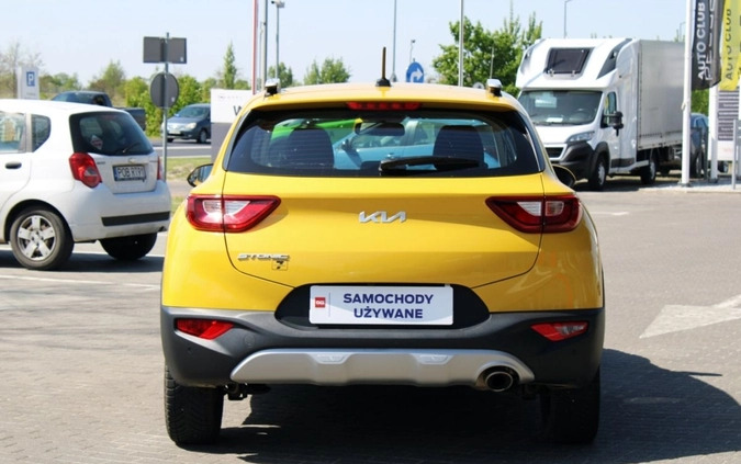 Kia Stonic cena 74900 przebieg: 17136, rok produkcji 2022 z Niemodlin małe 379